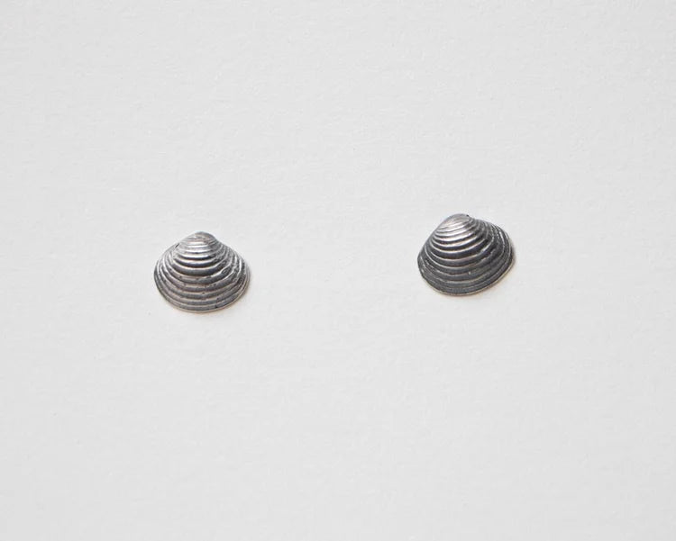 Small Bivalve Clam Shell Studs
