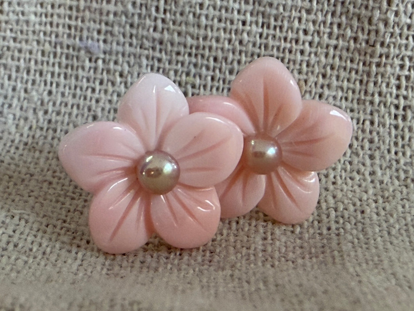Hibiscus Conch and pearl stud earring