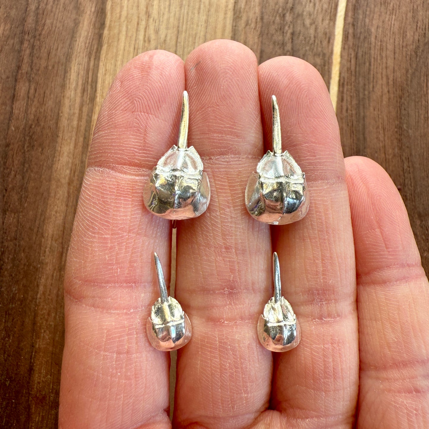 Horseshoe Crab Stud Earrings