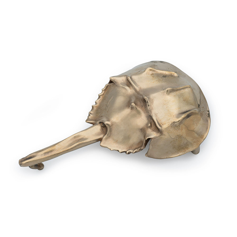 Horseshoe Crab Belt Buckle