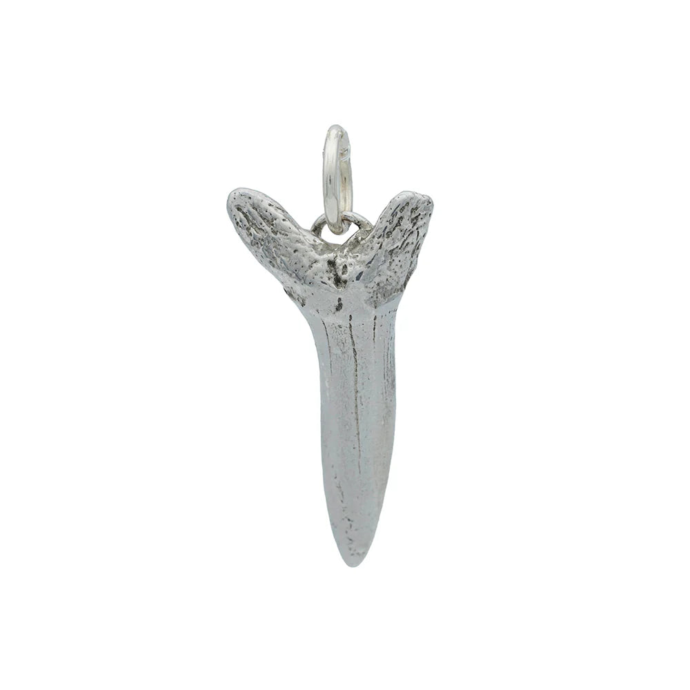 Long Shark Tooth Necklace