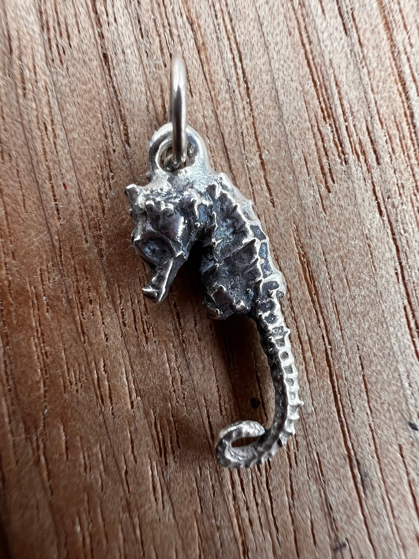 Pygmy Seahorse Pendant