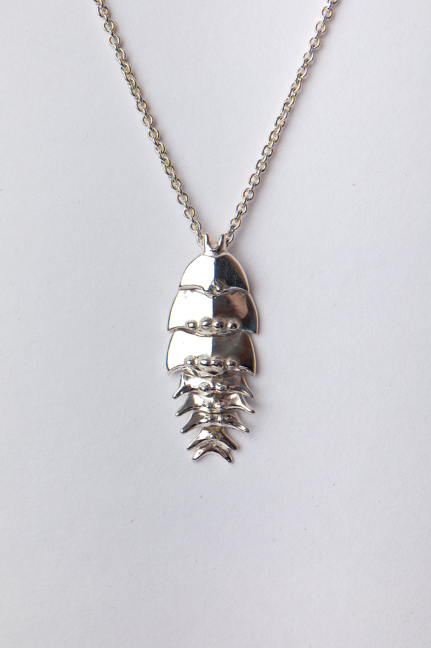 Silver Bright Trilobite Pendant