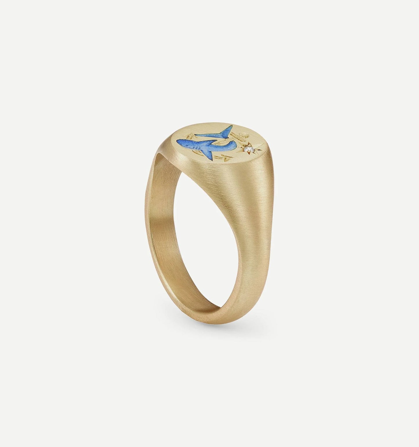 Shark and Anchor Ring
