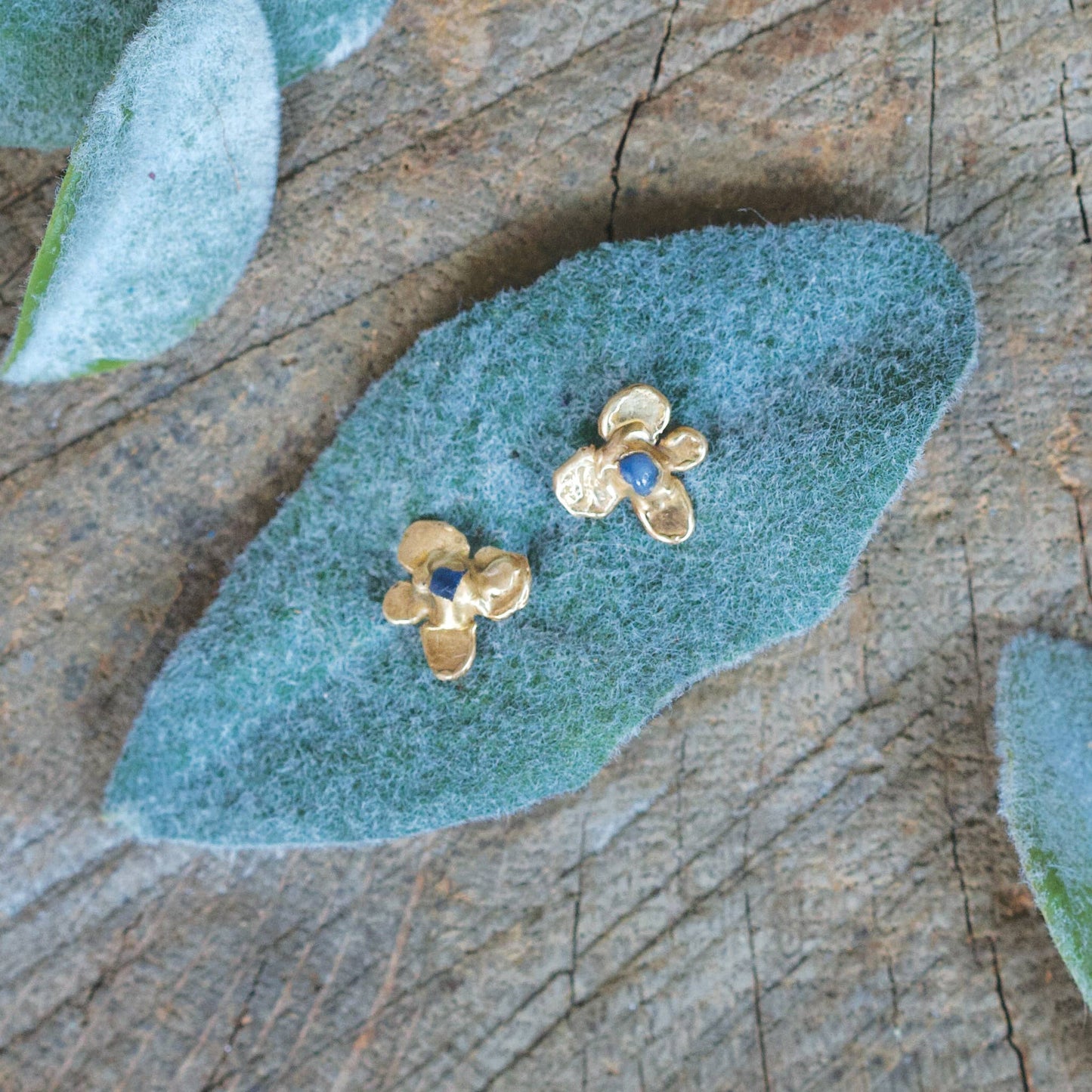Hydrangea Bud Studs