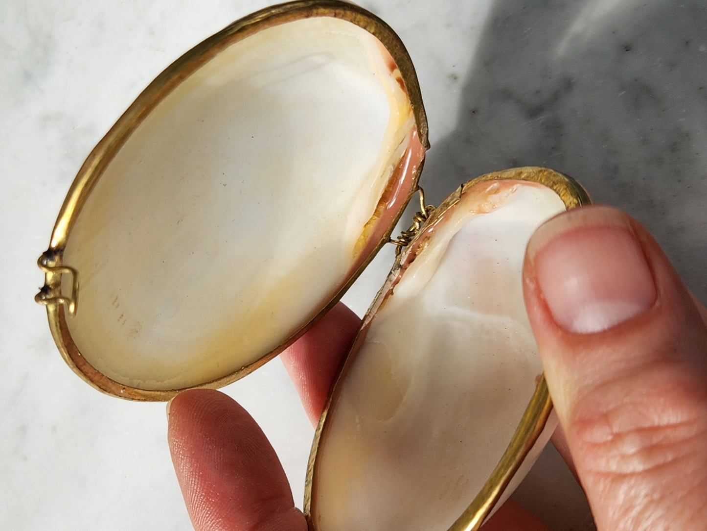 Mini Clam Trinket Box
