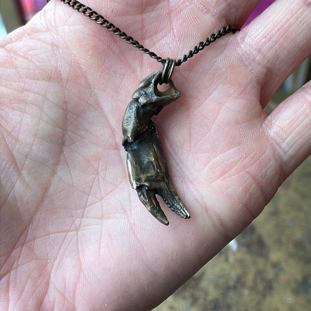 Bronze Cast Crab Claw Pendant