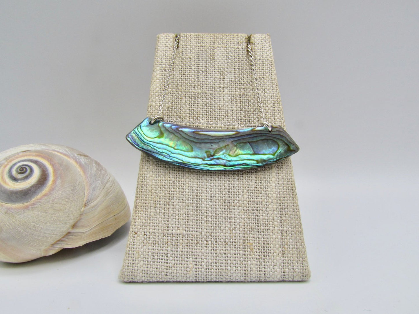 Paua Abalone Lip Necklace Silver