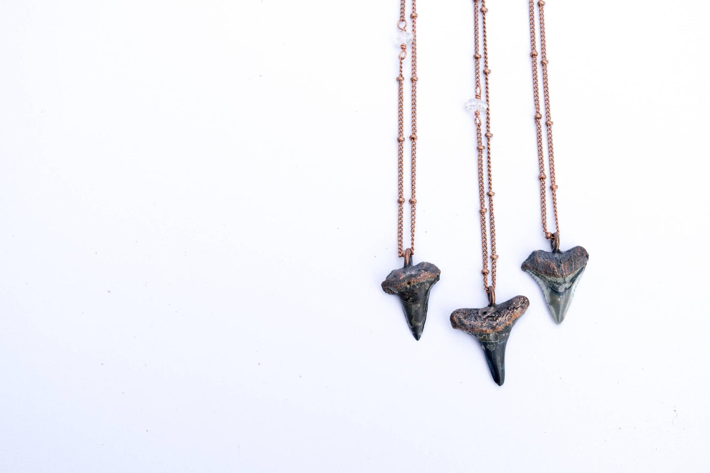 Shark's Tooth Pendant