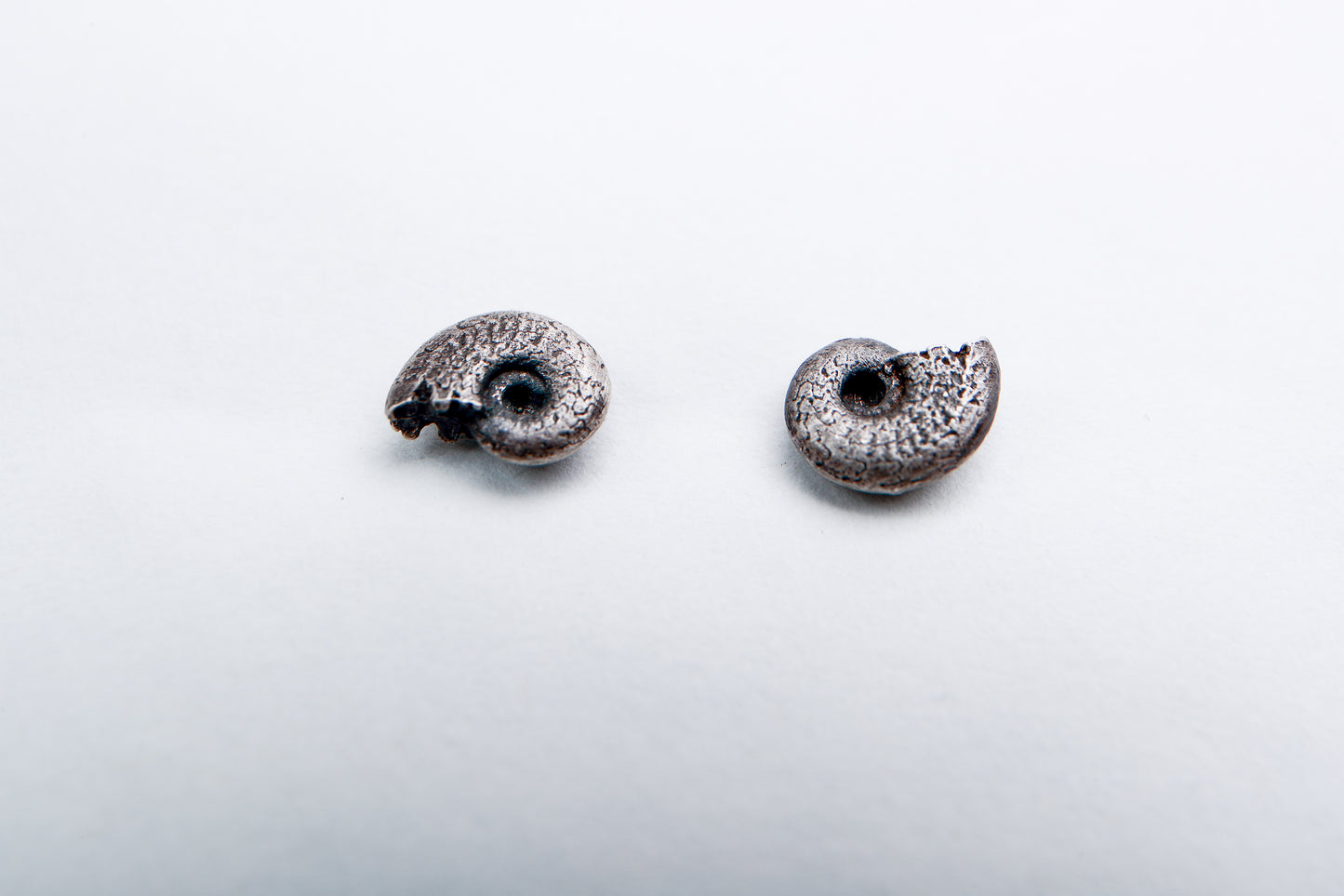 Small Ammonite Studs