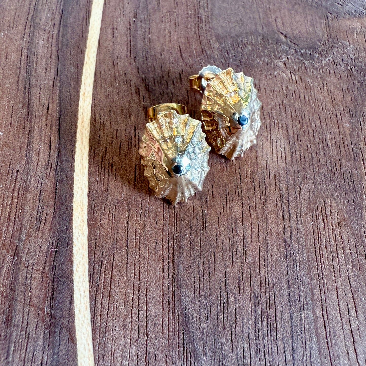 Limpet Shell Studs