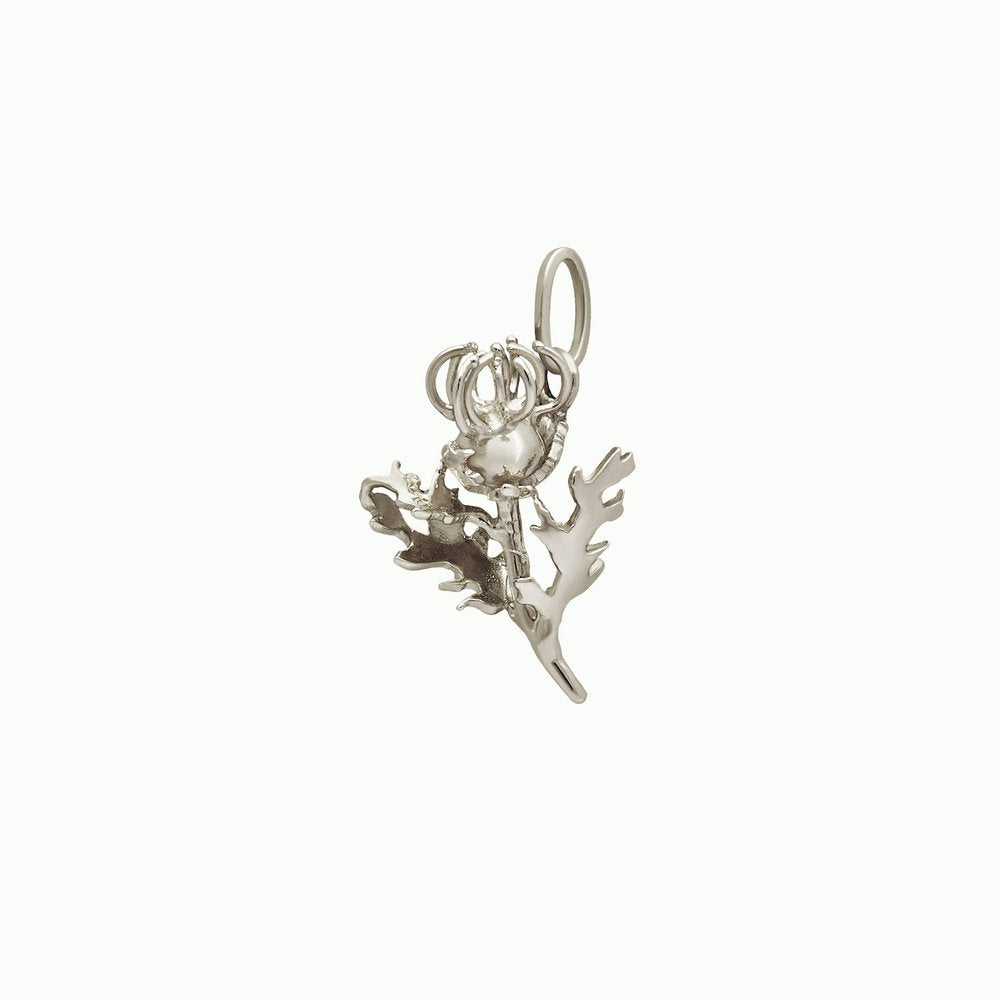 Edinburgh Thistle Charm: City of Story & Stone