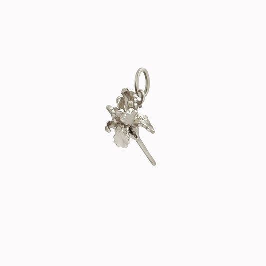 Paris Iris Charm: City of Light & Love