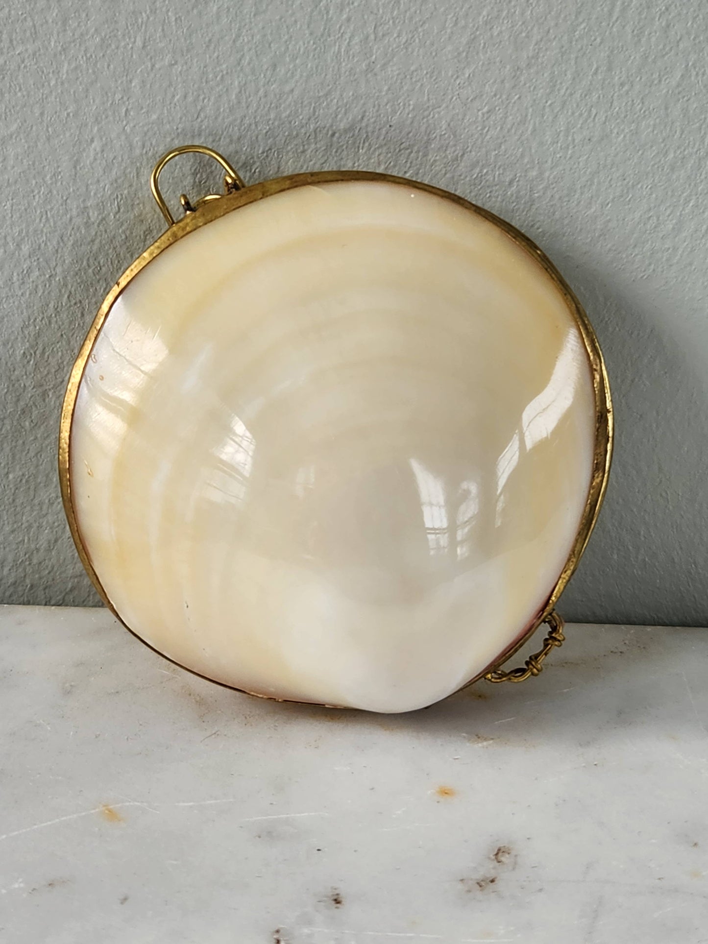 Mini Clam Trinket Box