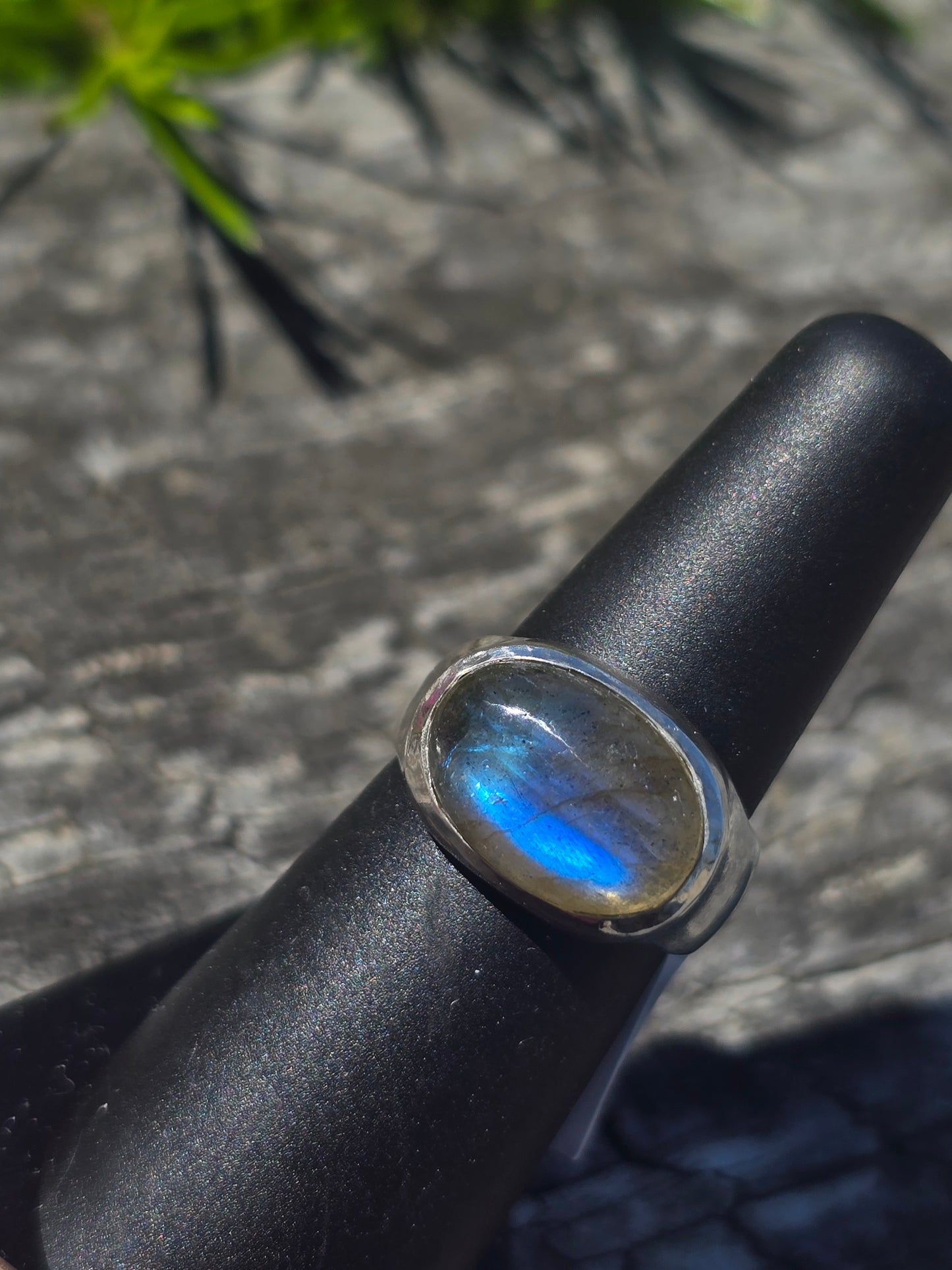 East West Ring w/ Labradorite