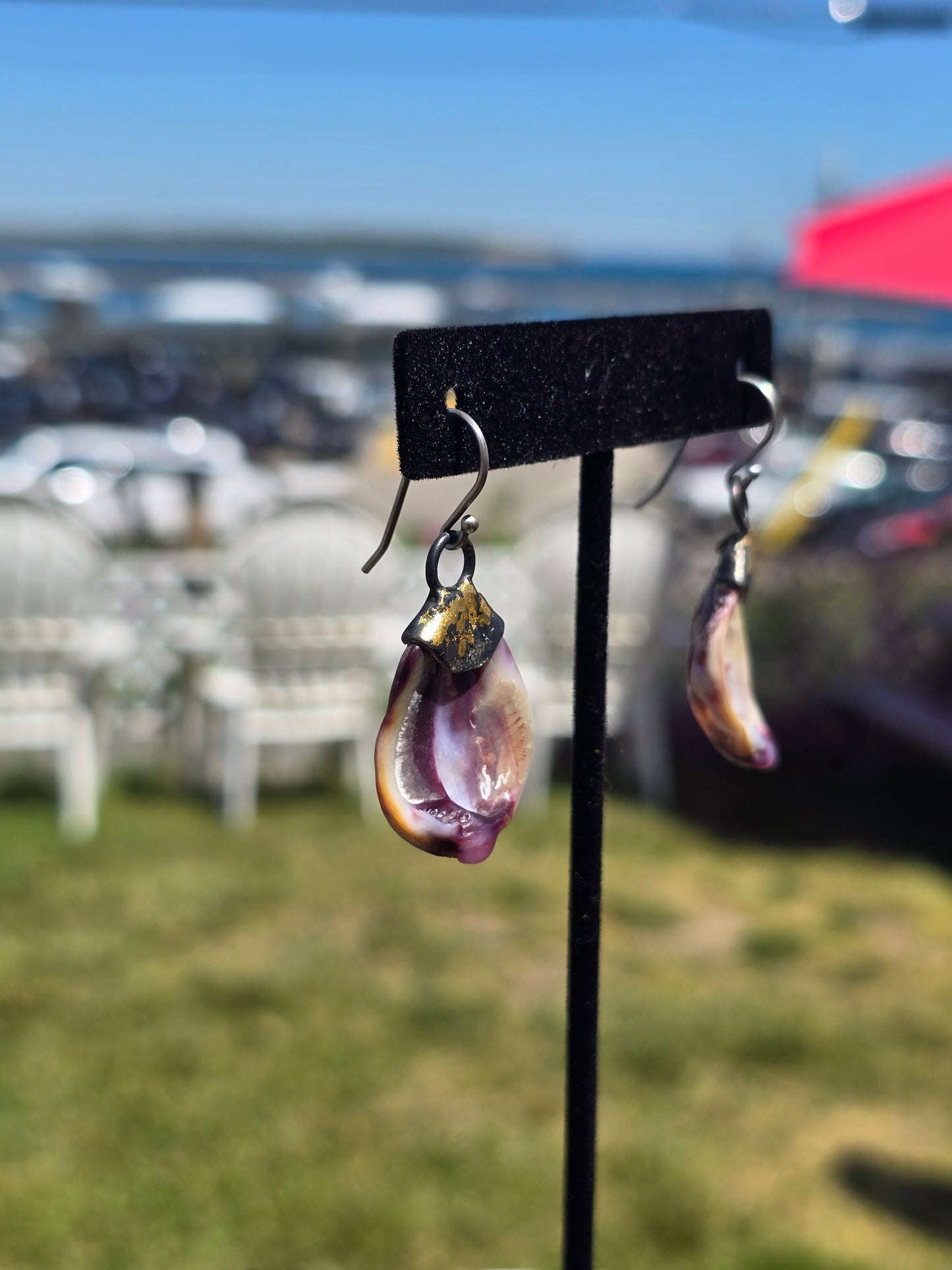Venus Seashell Earrings