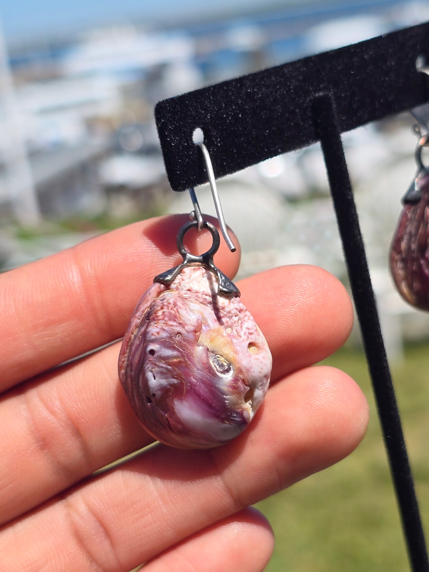 Venus Seashell Earrings