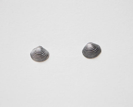 Small Bivalve Clam Shell Studs