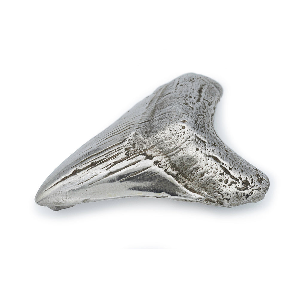 Sterling Silver Megalodon Tooth Belt Buckle