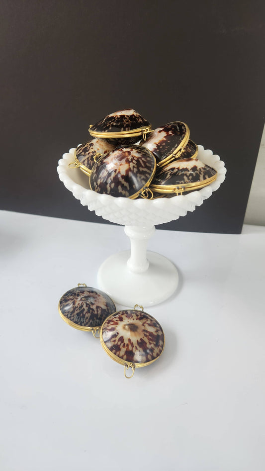 Polished Limpet Trinket Box