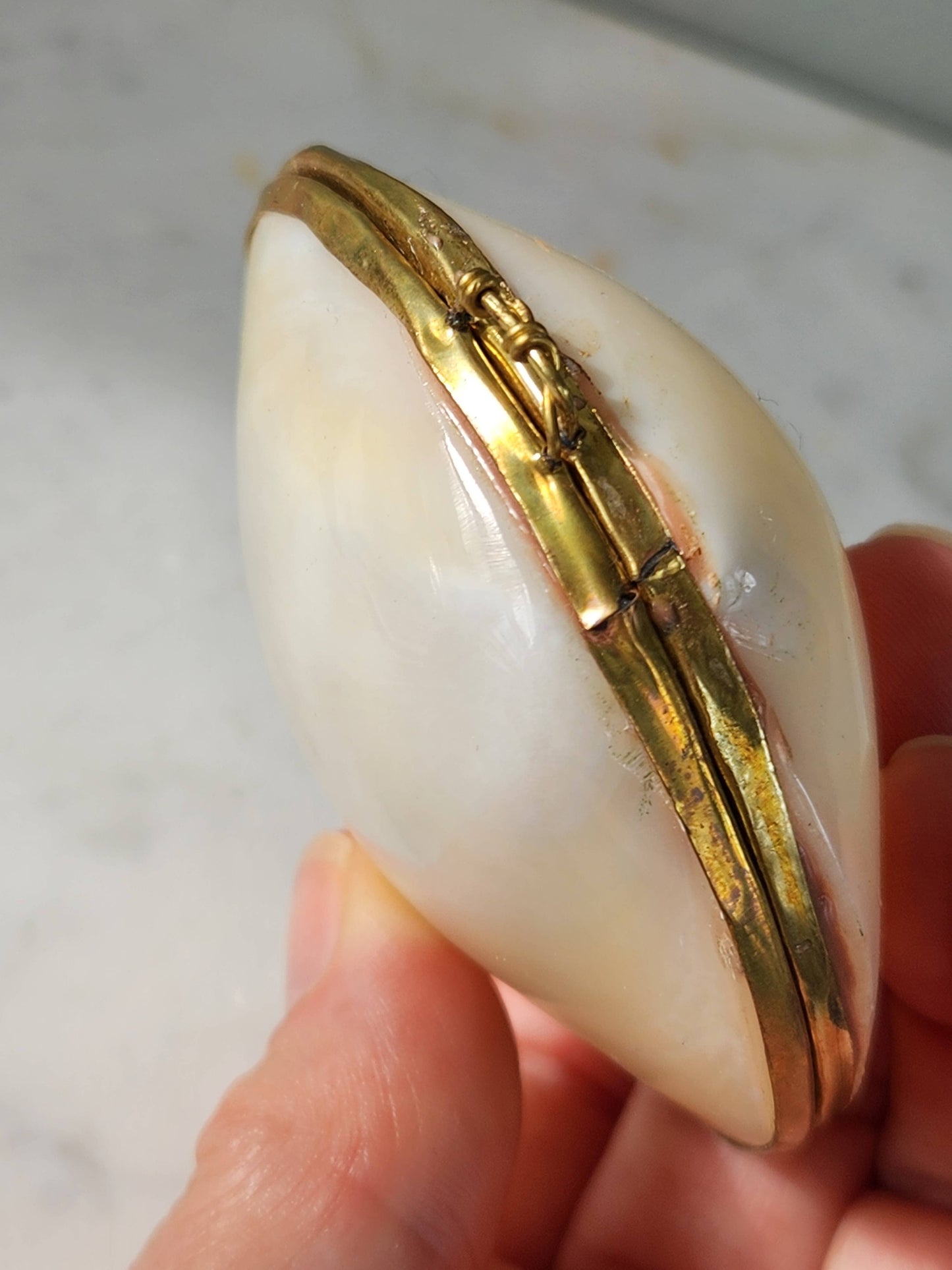 Mini Clam Trinket Box