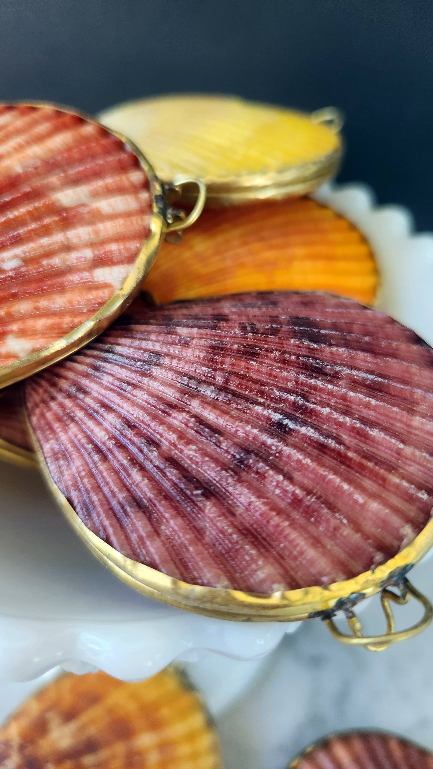 Noble Pectin Trinket Box
