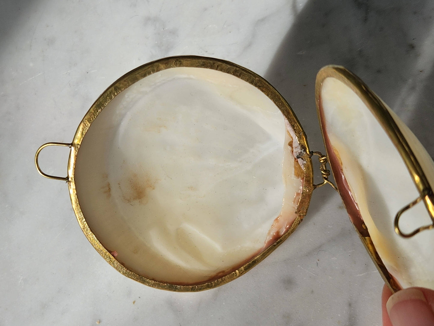 Mini Clam Trinket Box