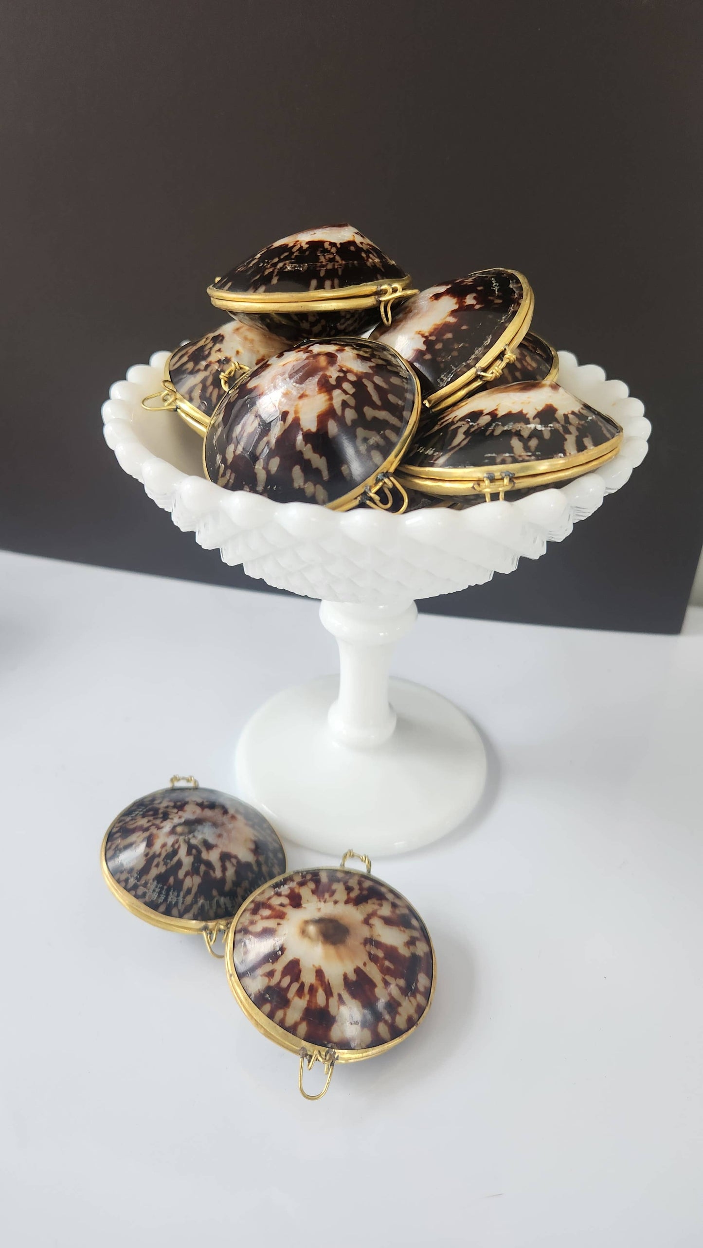 Polished Limpet Trinket Box