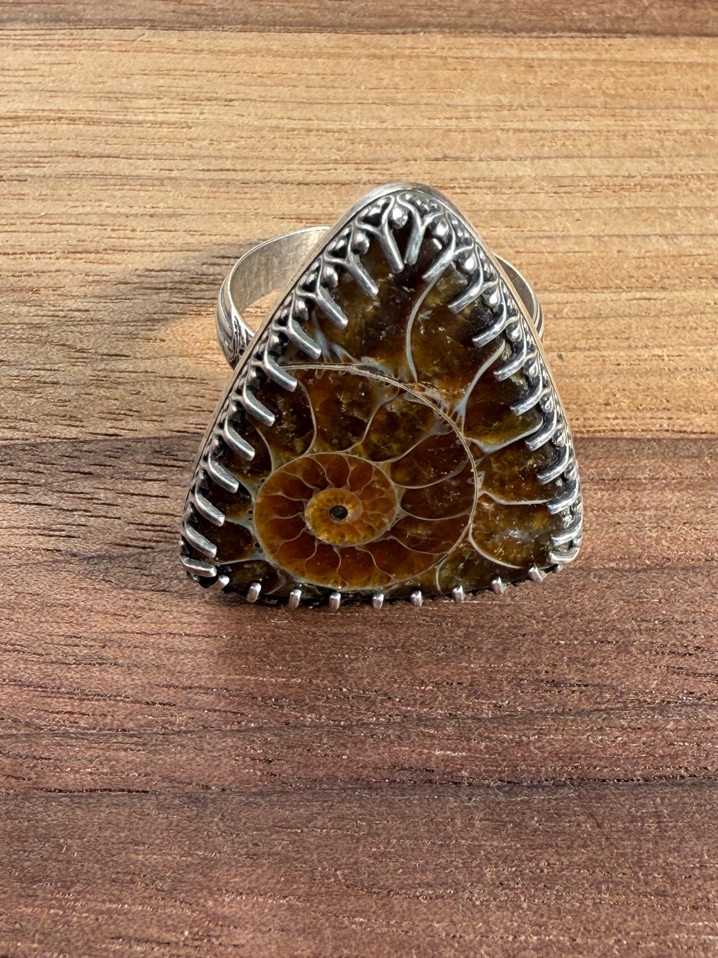 Ammonite Fossil Statement Ring
