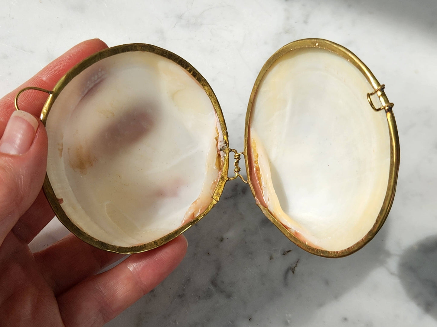 Mini Clam Trinket Box