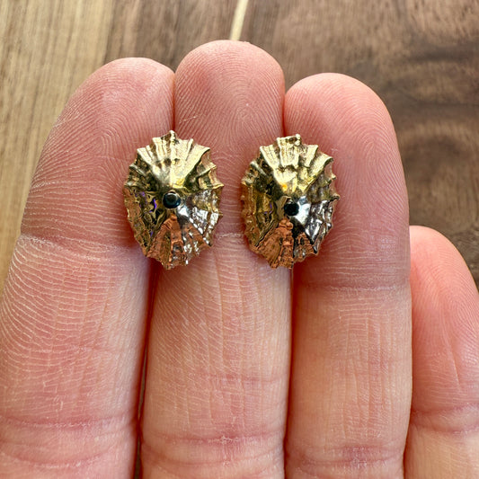 Limpet Shell Studs