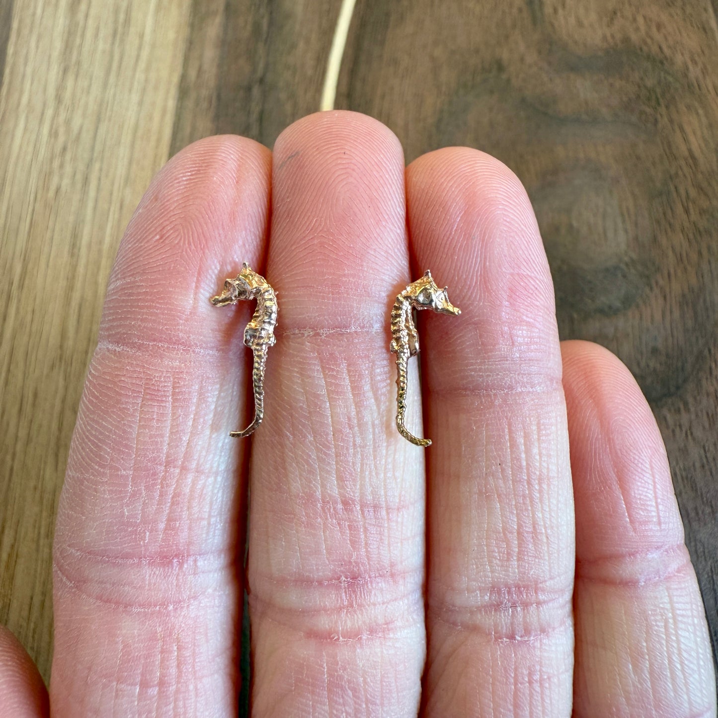 Pygmy Seahorse Stud Earrings