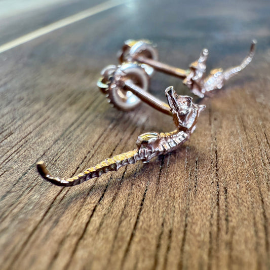 Pygmy Seahorse Stud Earrings