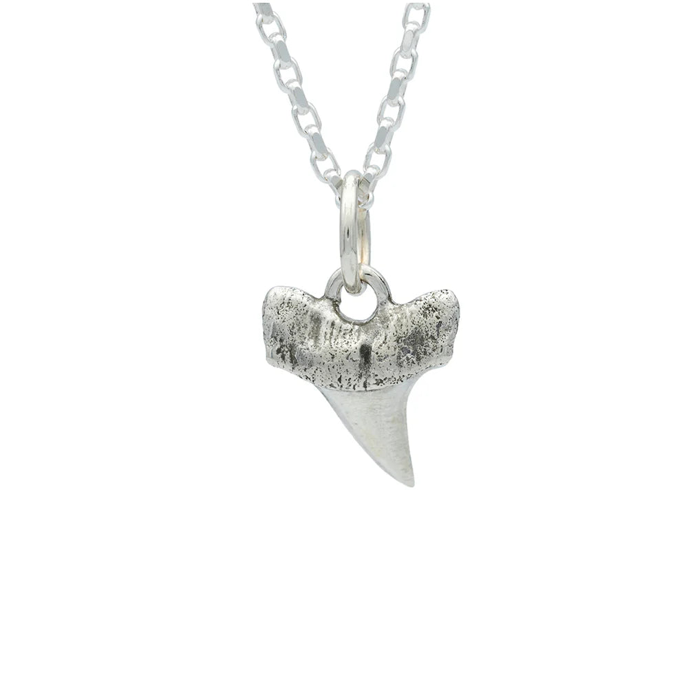 Small Shark Tooth Necklace