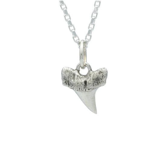 Small Shark Tooth Necklace