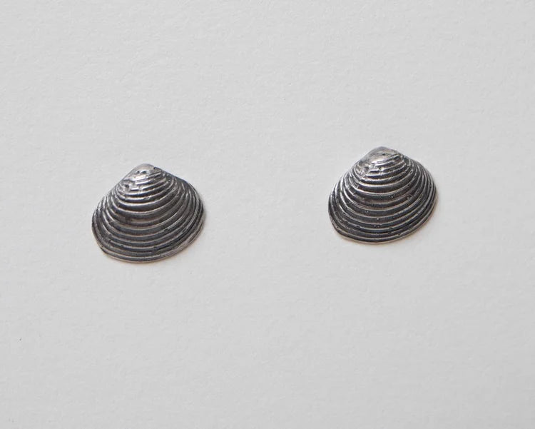 Large Bivalve Clam Shell Studs