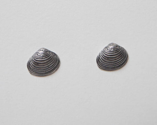 Large Bivalve Clam Shell Studs