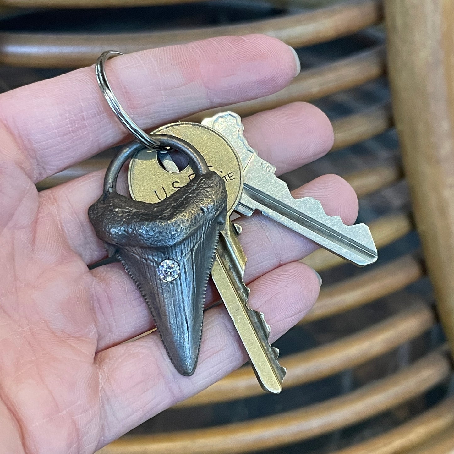 Megalodon Tooth Keychain