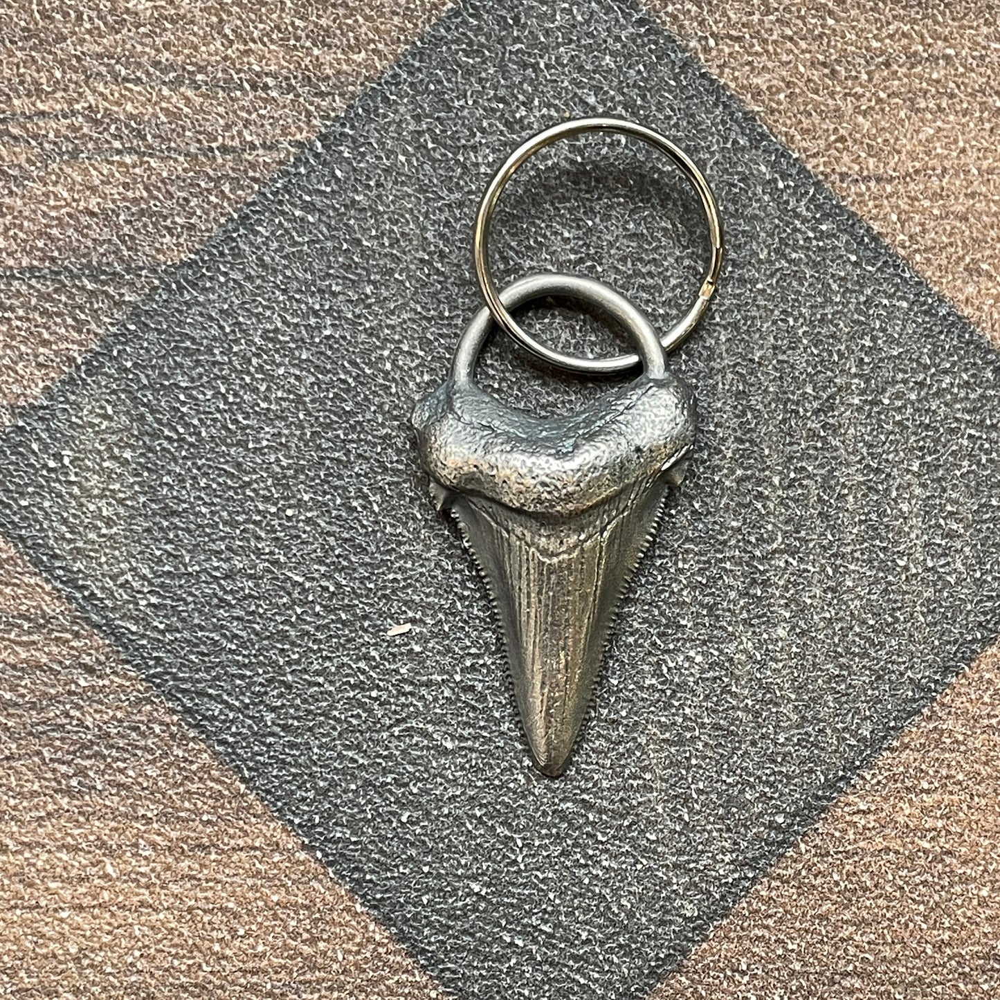 Megalodon Tooth Keychain