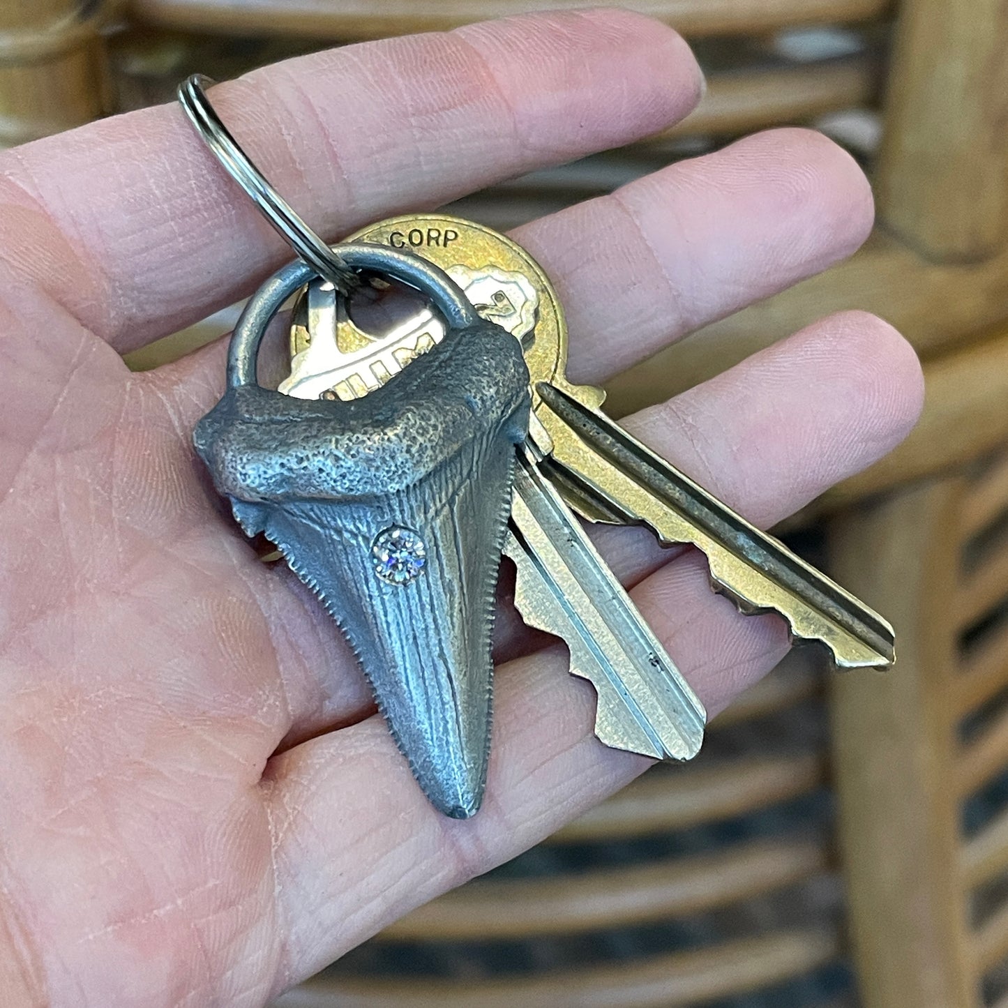 Megalodon Tooth Keychain