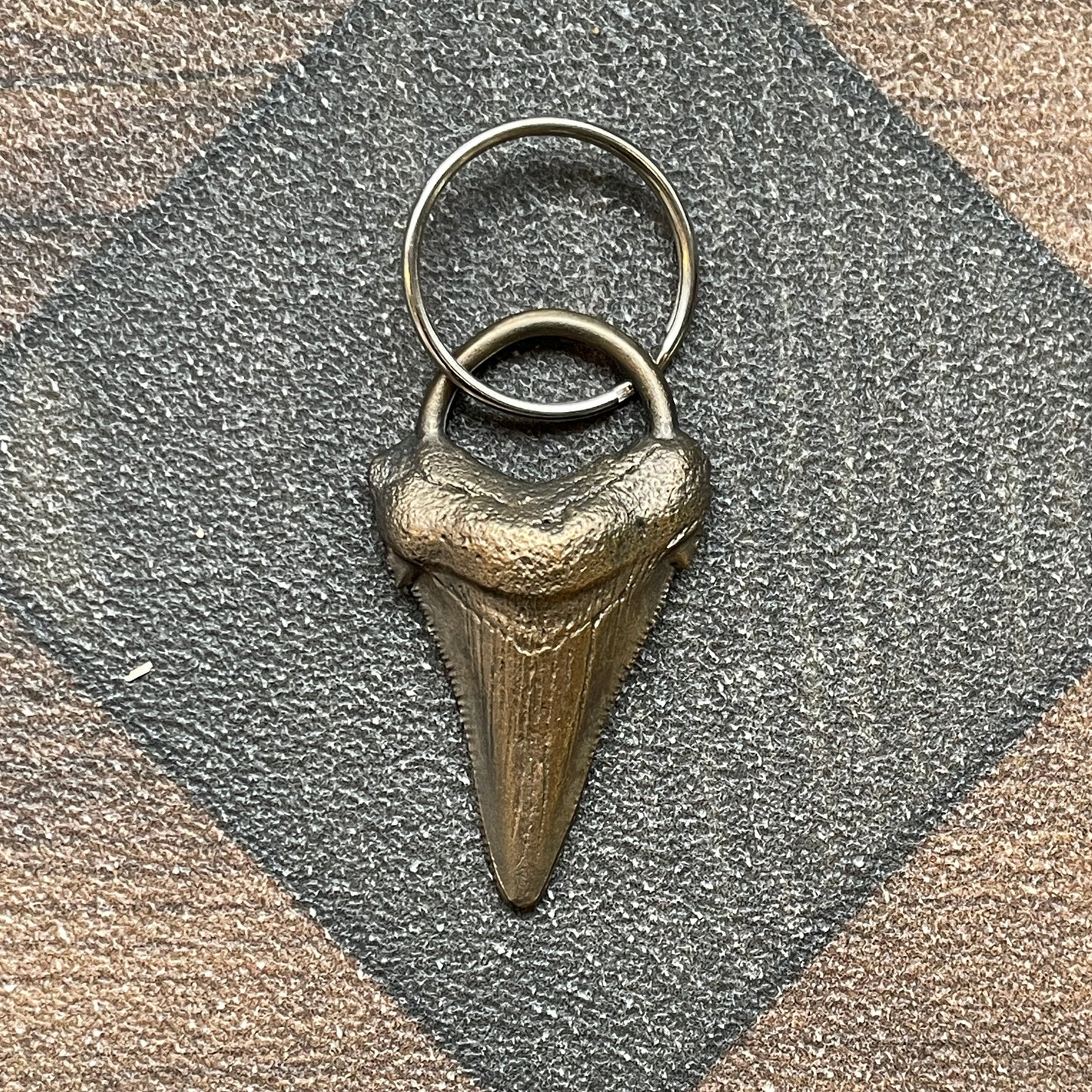 Megalodon Tooth Keychain