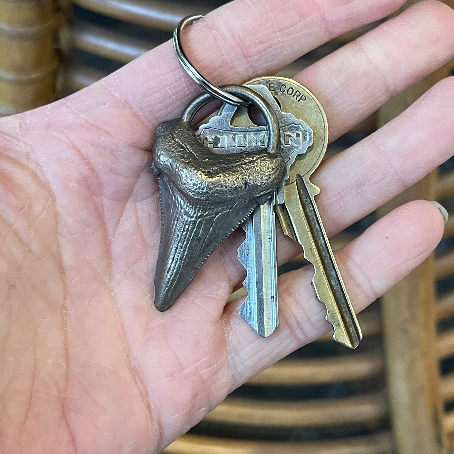 Megalodon Tooth Keychain