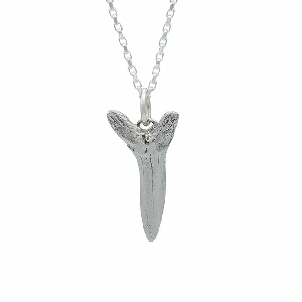 Long Shark Tooth Necklace