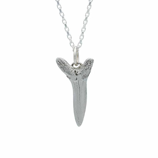 Long Shark Tooth Necklace