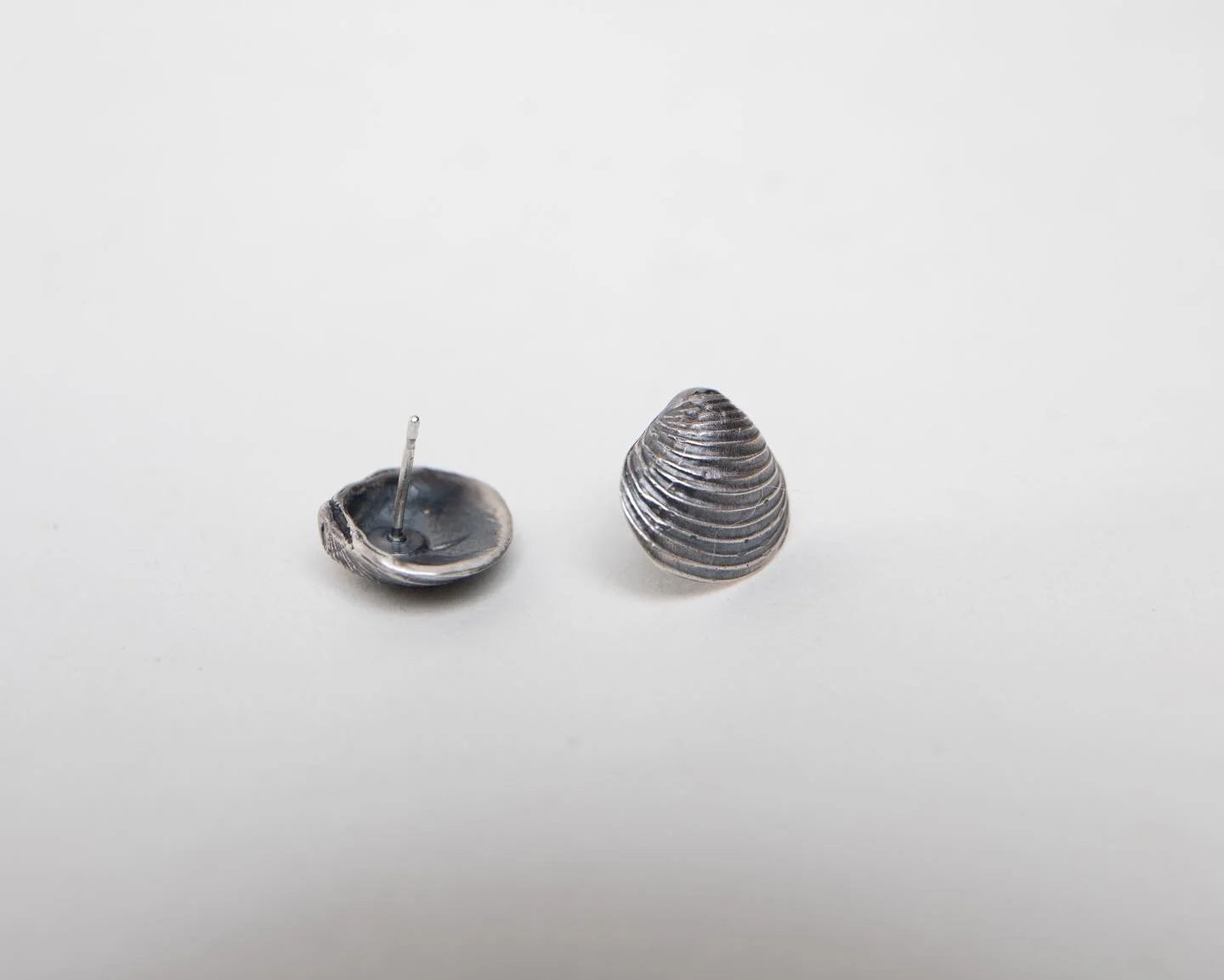 Large Bivalve Clam Shell Studs