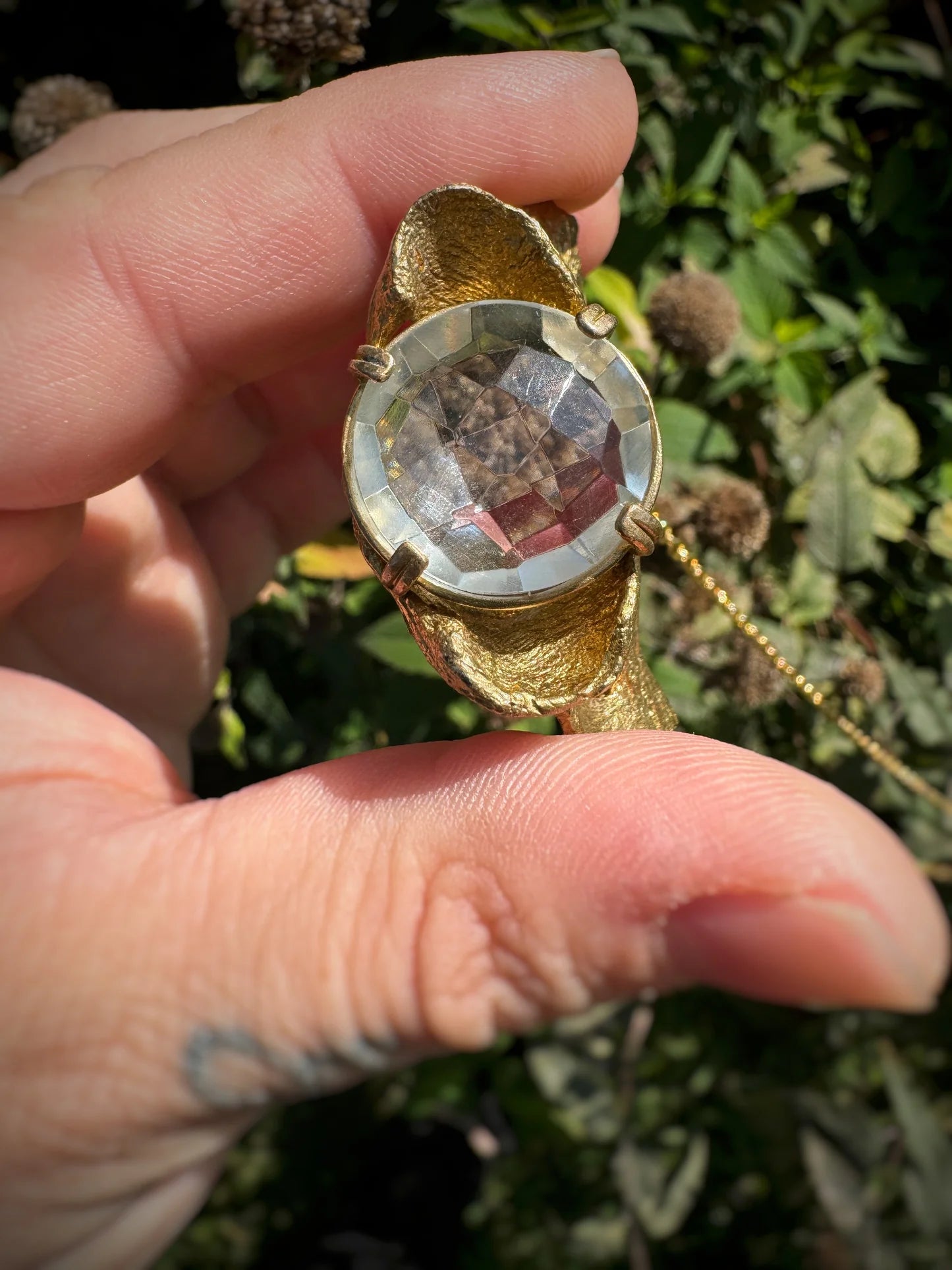 Coyote Vertebrate w/ Quartz