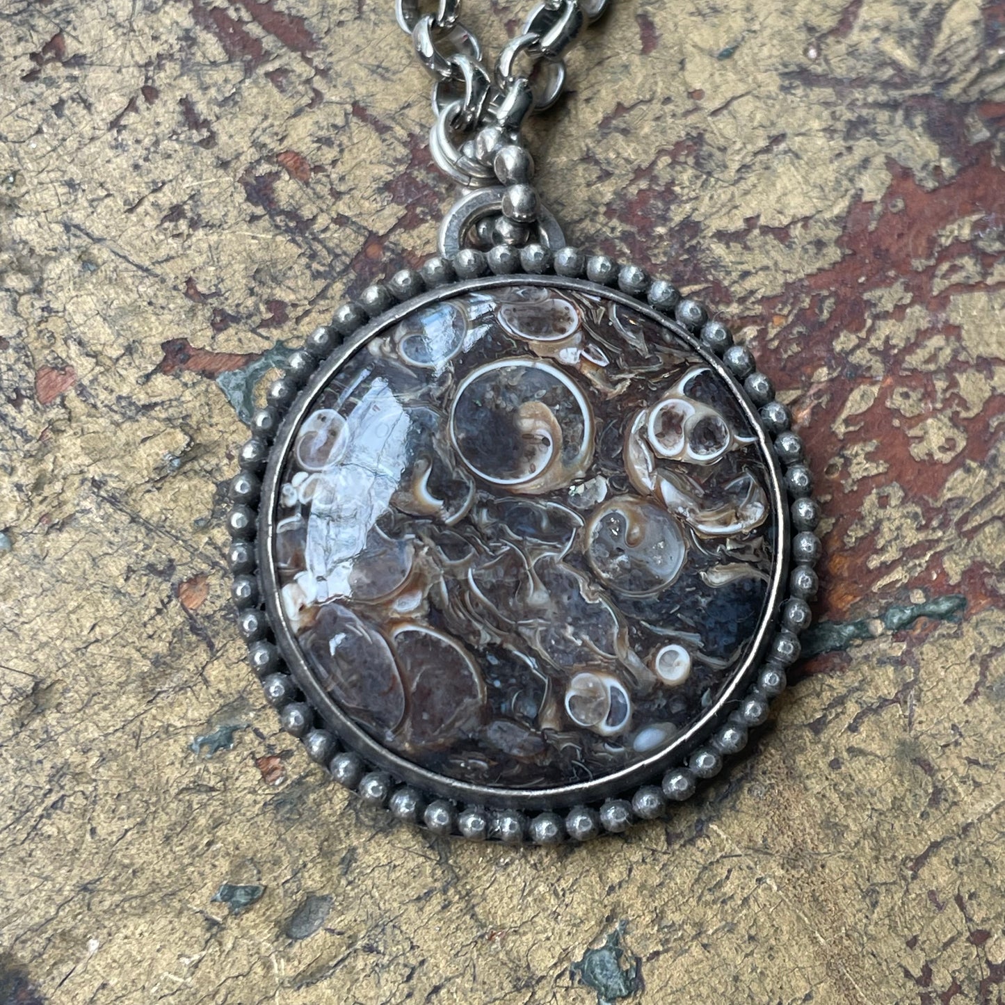 Round Fossilized Shell Pendant Necklace