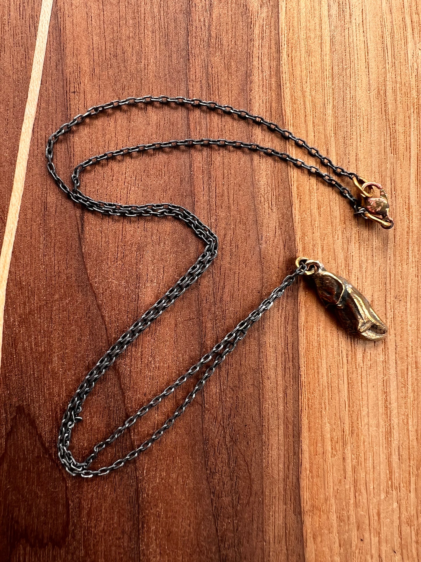 Bronze Claw Pendant on Oxidized Silver Chain