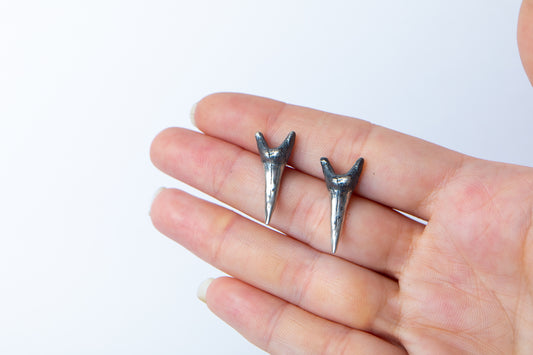 Silver Shark Tooth Studs