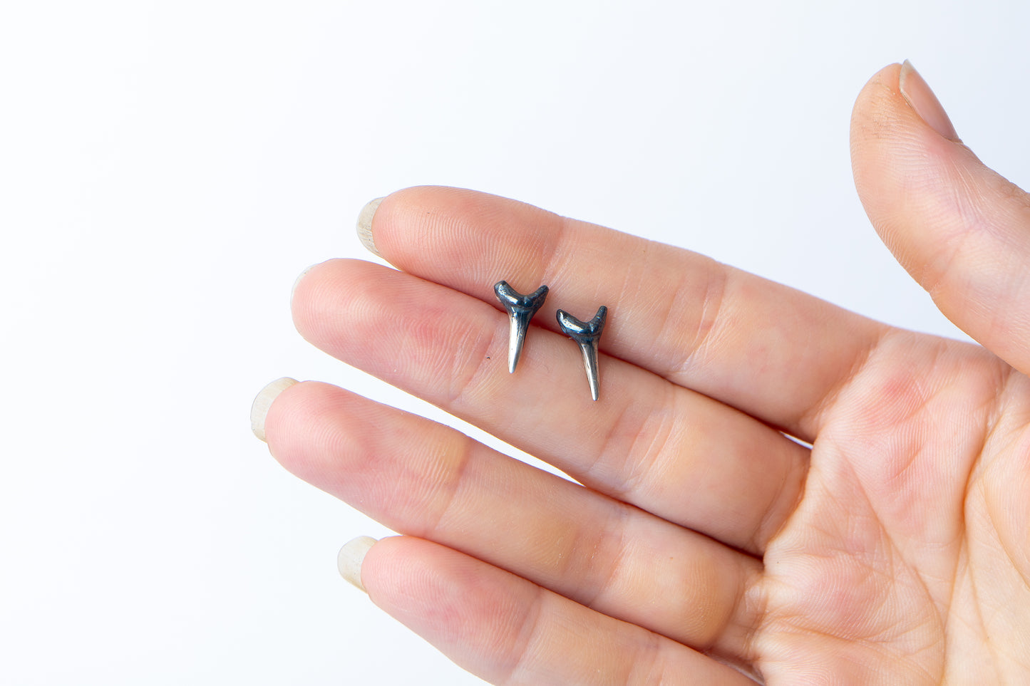 Small Silver Shark Tooth Studs